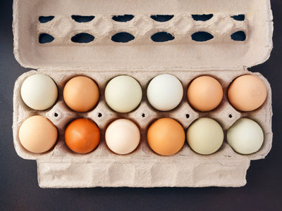 🥚Understanding the Seasonality of Eggs: A Commitment to Quality and Local Farming🥚